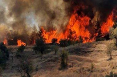 Голям пожар и на гръцкия остров Закинтос
