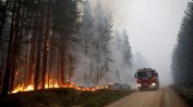 Дъжд помогна на Швеция да напредне в потушаването на горските пожари
