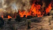 Голям пожар и на гръцкия остров Закинтос