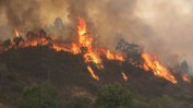 Шести ден продължава борбата с пожарите в португалската провинция Алгарве