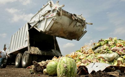 Хранителните отпадъци в света може да се увеличат с една трета до 2030 г.