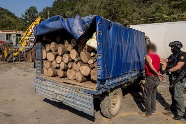 Снимка: МВР