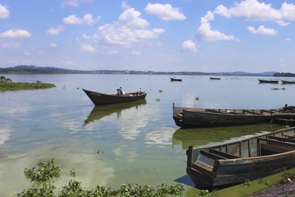 Най-малко 79 души са загинали при потъването на ферибот в езерото  Виктория в Танзания