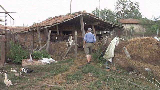 Стопанството в Болярово, отказващо унищожаване на животните