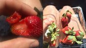 Австралия търси кой поставя игли в ягоди и други плодове