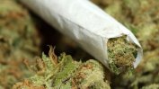 И в Мичиган ще може да се пуши законно марихуана за удоволствие