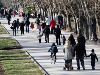 БАН с три сценария за демографски срив през 2040 година