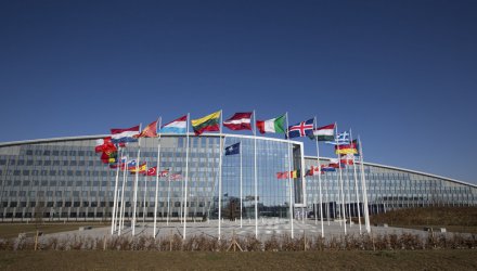 Отбелязваме "15 години в НАТО" с документален филм, лекции и изложба
