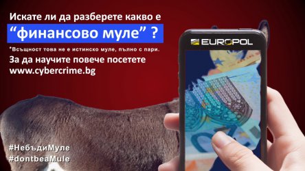 Нова престъпна схема за пране на пари чрез финансови "мулета"