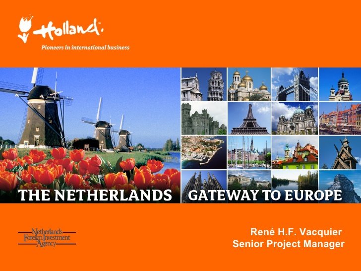 Над 250 компании обмислят преместване от Великобритания в Холандия