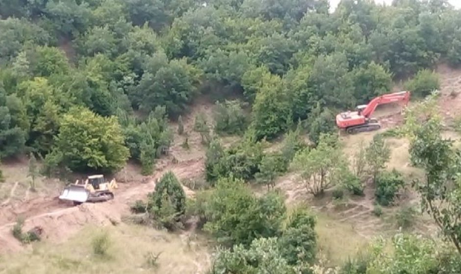 Лесничеите са съзерцавали строежа на пътища край Кресна, без дори да попитат