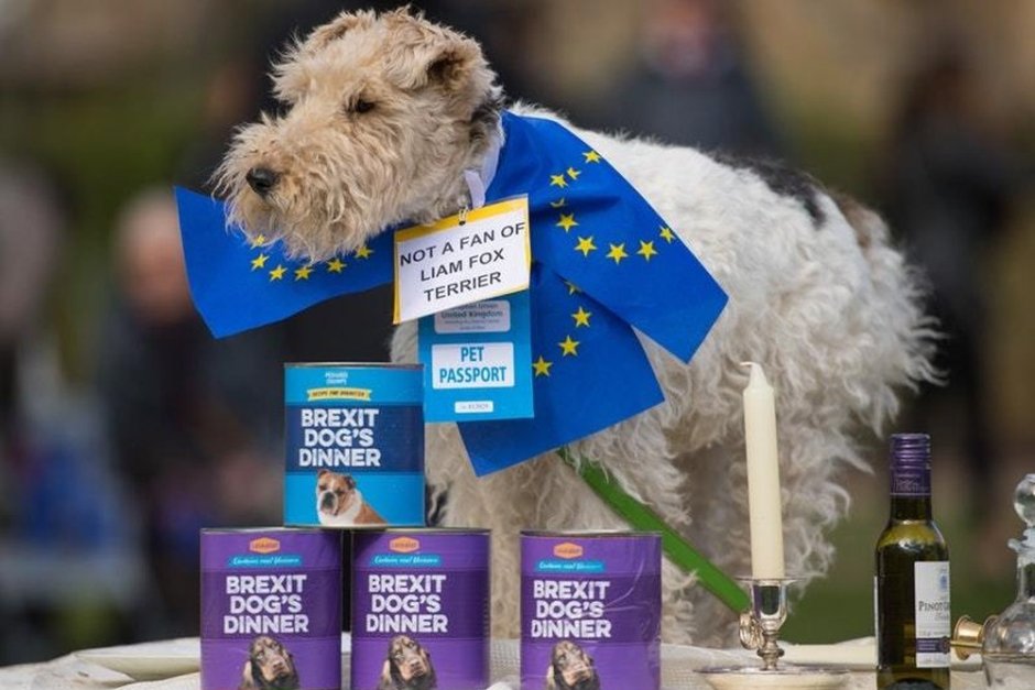 Антибрекзит кучешки протест в Лондон