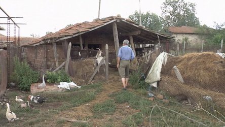 Снимката е архивна