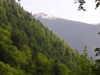 Две нови защитени зони ще има в Рила
