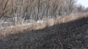 Около 30 дка изгорели в резервата "Сребърна"