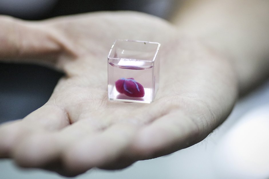 Първото в света 3D-принтирано човешко сърце беше показано в Израел