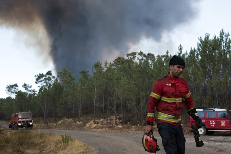 ЕС предприема мерки за борба с горските пожари