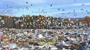 Изправена пред море от отпадъци, Москва започва трудна битка за рециклирането им