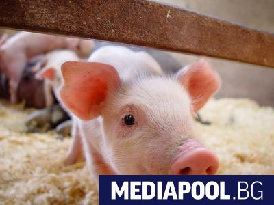 Правителството отпусна на заседанието си в сряда 3 7 млн лева