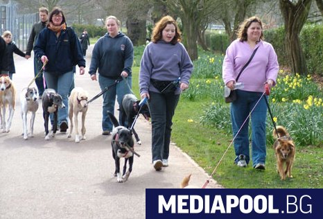 Собствениците на кучета тежащи над 5 килограма ще търпят солени