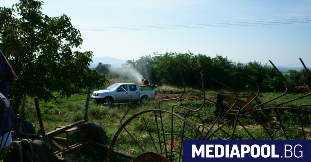 Само ден след отпускането на 2 млн лв за пръскане