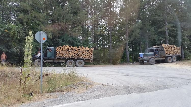Затяга се контролът върху превоза на дървесина