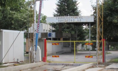 Разрастващата се чума по прасетата може да ликвидира целия бранш