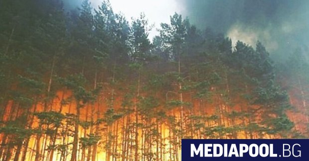 Площта на горските пожари в Сибир надхвърля 1 5 милиона хектара