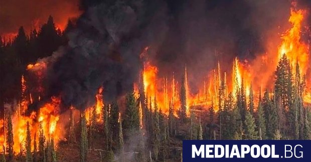 Горските пожари в Сибир продължават без признаци за отслабване, предаде