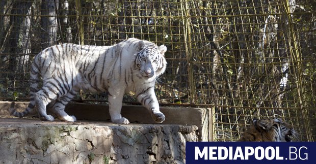 Зоопаркът в Стара Загора ще се реконструира с близо 4 2