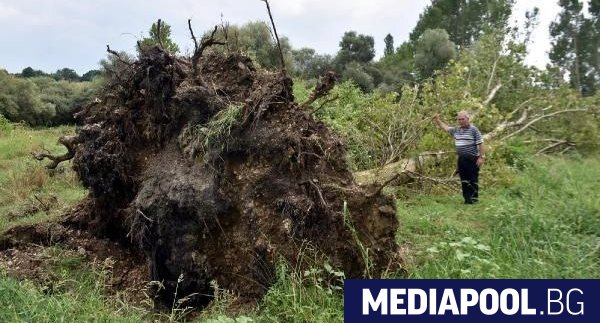 Торнадо край границата с България изкорени множество дървета в Турция,