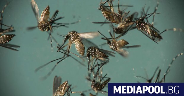 Доказан е първият случай на западнонилска треска за този сезон