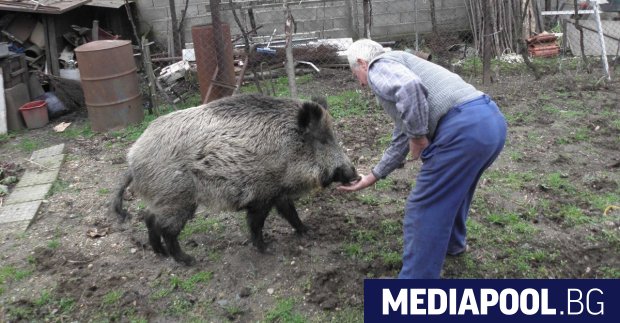 Напълно реалистично е и следващата година у нас да не