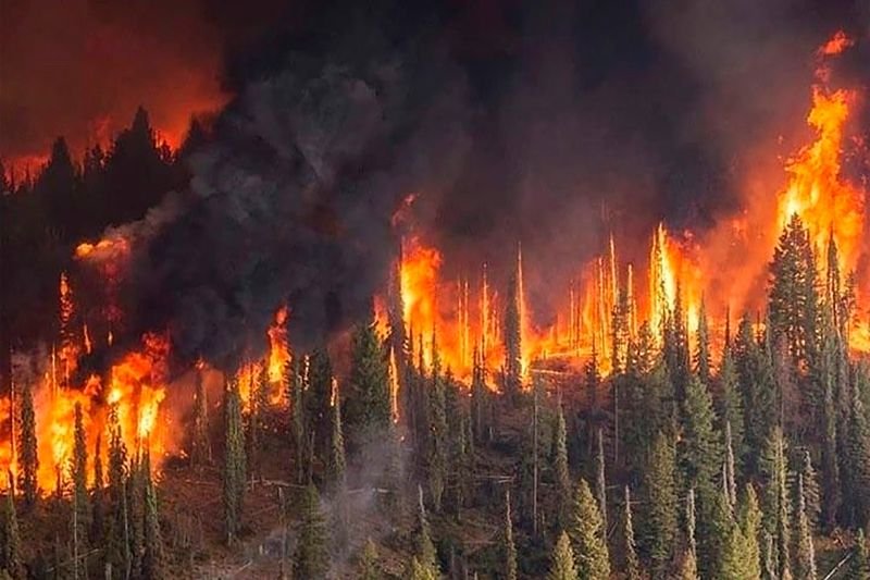 В Сибир продължават да бушуват горски пожари
