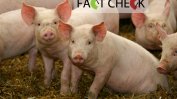 Вярно или не? Свинското месо е поскъпнало с 35% в ЕС