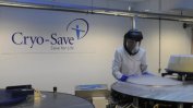 Тъканната банка “Крио Сейв“ спира дейността си в България