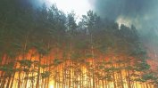 За възстановяване на изгорелите тази година в Сибир гори ще е нужно столетие