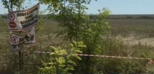 Русенски села се оплакват от смрад от загробените прасета