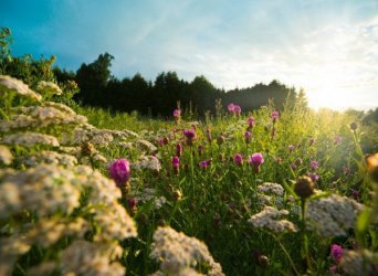 Жегите продължават и през септември, захлаждане чак в края на месеца