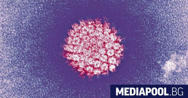 Ракът се е превърнал във водеща причина за смърт в