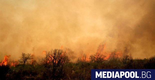 Над 160 огнеборци се опитват да овладеят огромен горски пожар