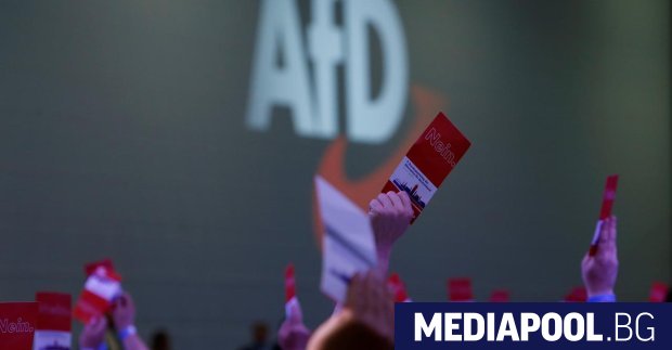 Подкрепата за крайнодясната партия Алтернатива за Германия се е понижила
