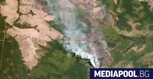Пожарите в бразилска Амазония предизвикаха международно възмущение относно опазването на