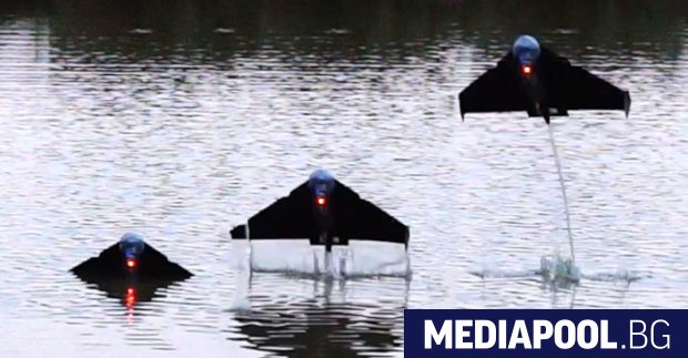 Британски специалисти почерпили вдъхновение от природата са създали роботизирана летяща риба която