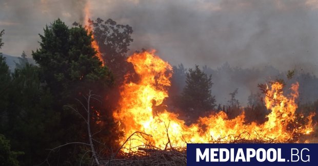 Голям горски пожар избухна на гръцкия остров Кефалония в района