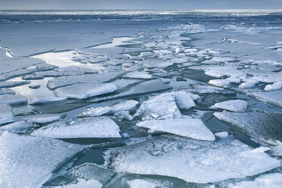 Трагедията на Арктика