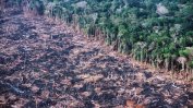 Бразилия отказа парите на Г-7 за борба с горските пожари в Амазония