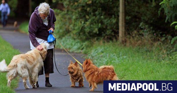 Собствениците на кучета живеят по дълго показват две нови изследвания цитирани