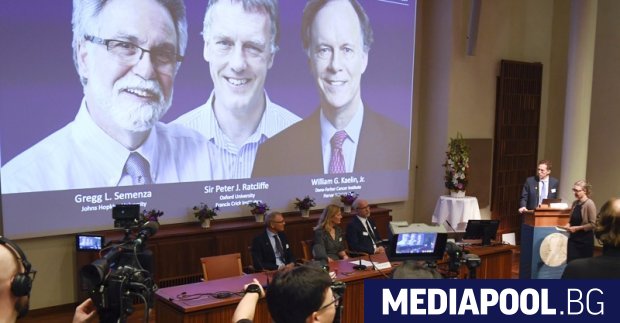 Нобеловата награда за медицина за 2019 година бе спечелена от