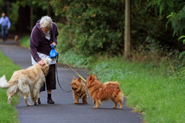 Собствениците на кучета живеят по-дълго